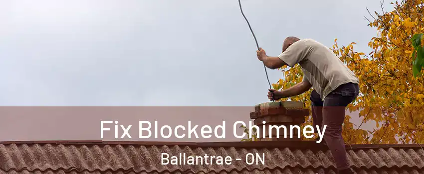  Fix Blocked Chimney Ballantrae - ON