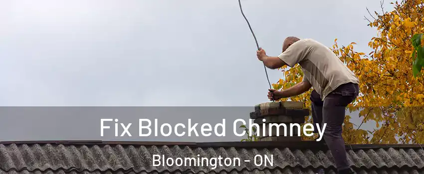  Fix Blocked Chimney Bloomington - ON