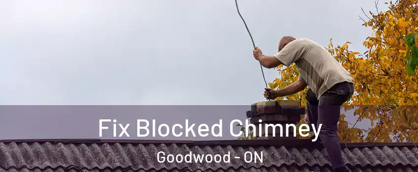  Fix Blocked Chimney Goodwood - ON