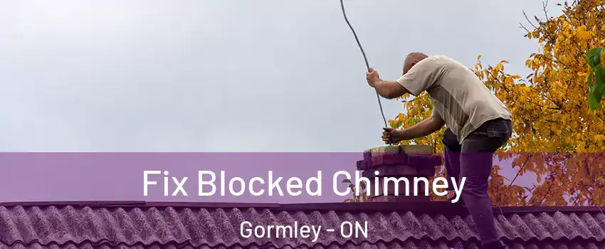  Fix Blocked Chimney Gormley - ON
