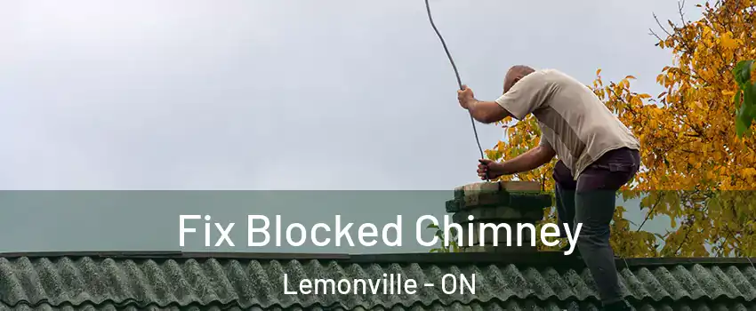  Fix Blocked Chimney Lemonville - ON