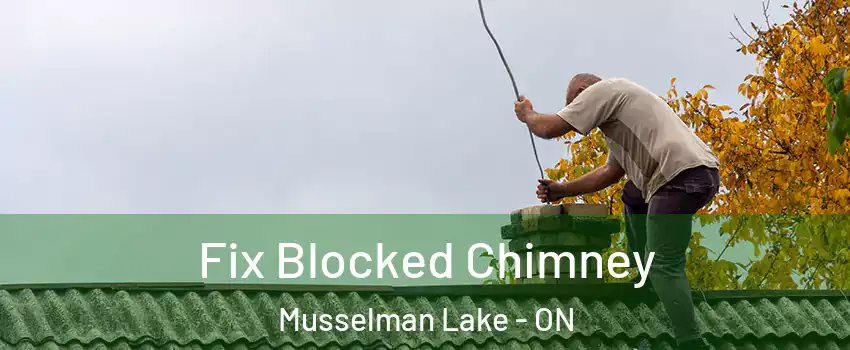  Fix Blocked Chimney Musselman Lake - ON