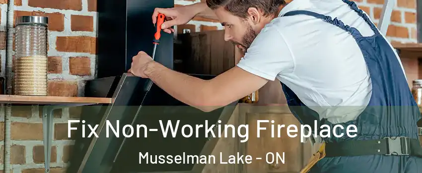  Fix Non-Working Fireplace Musselman Lake - ON