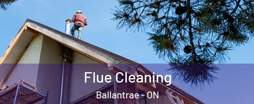  Flue Cleaning Ballantrae - ON