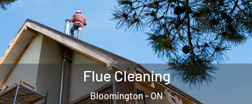 Flue Cleaning Bloomington - ON