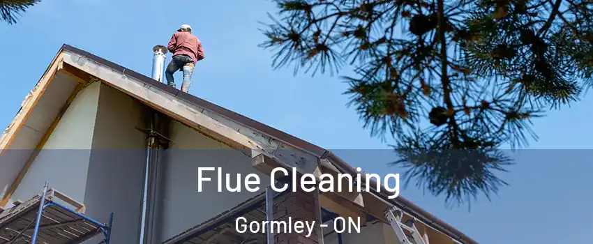  Flue Cleaning Gormley - ON