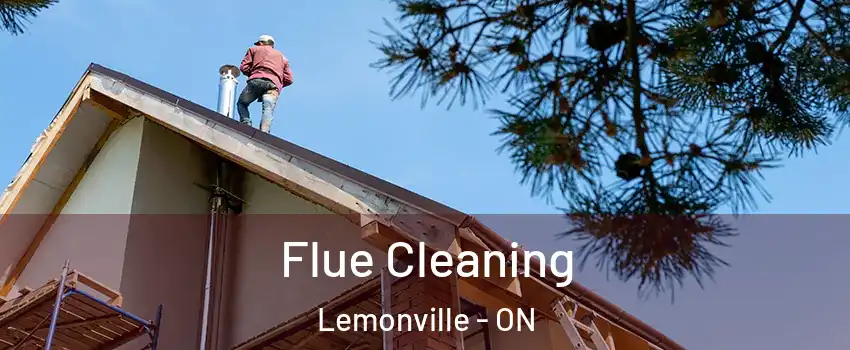  Flue Cleaning Lemonville - ON
