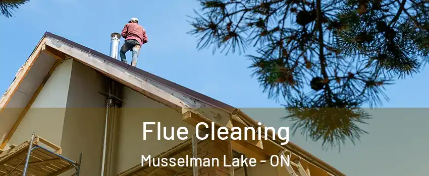  Flue Cleaning Musselman Lake - ON