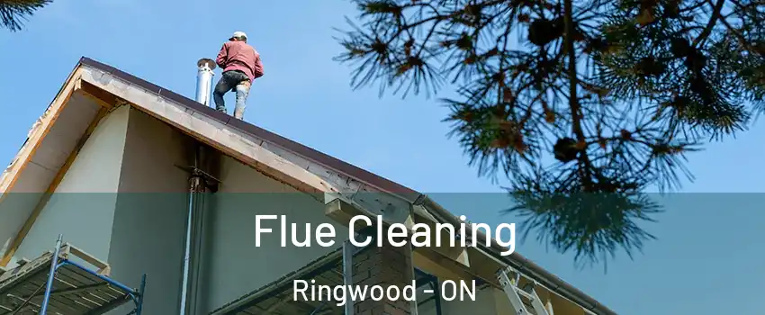  Flue Cleaning Ringwood - ON