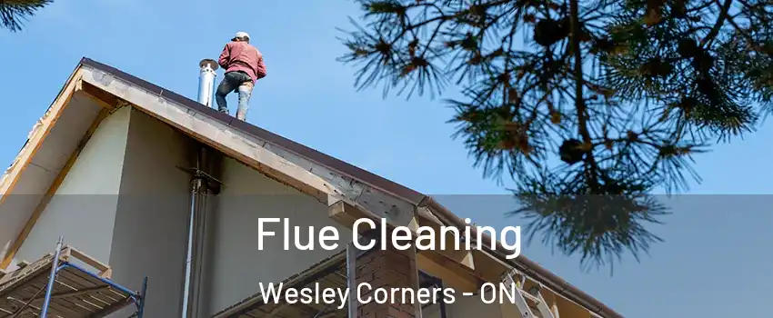  Flue Cleaning Wesley Corners - ON