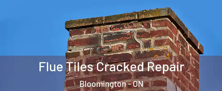  Flue Tiles Cracked Repair Bloomington - ON