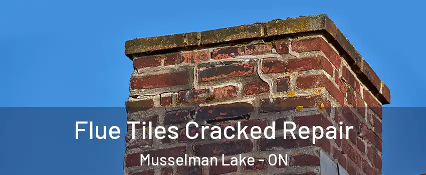  Flue Tiles Cracked Repair Musselman Lake - ON