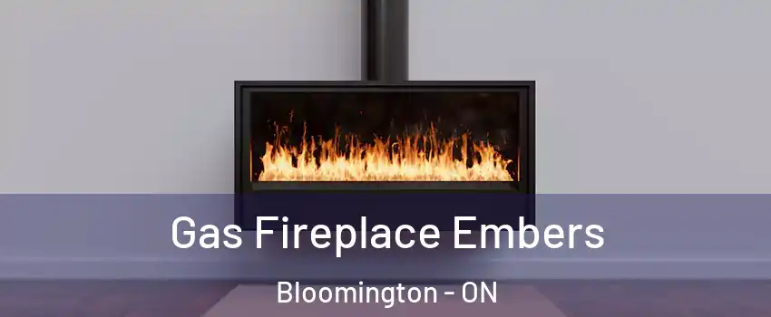  Gas Fireplace Embers Bloomington - ON