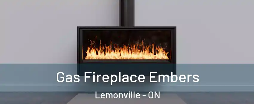  Gas Fireplace Embers Lemonville - ON