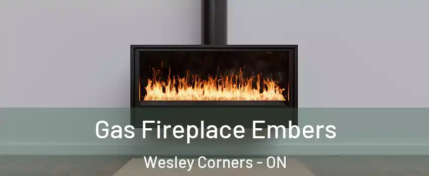  Gas Fireplace Embers Wesley Corners - ON