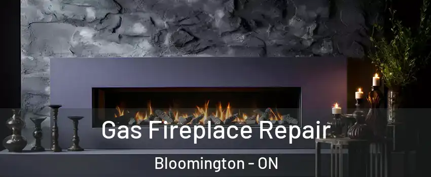  Gas Fireplace Repair Bloomington - ON