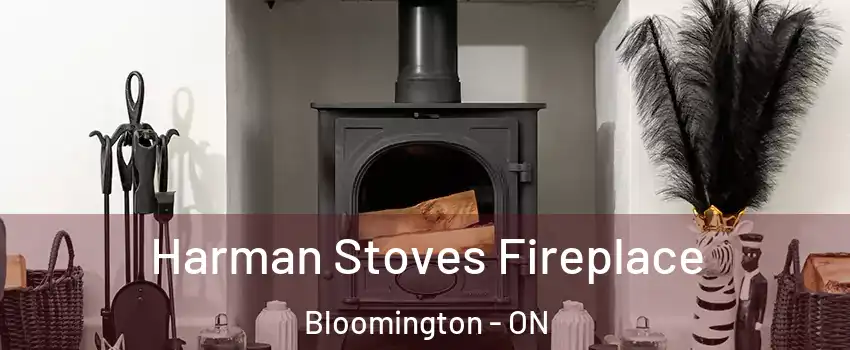  Harman Stoves Fireplace Bloomington - ON