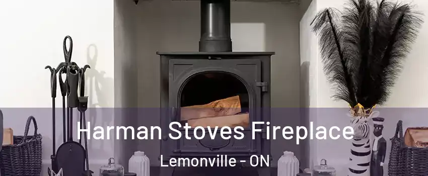 Harman Stoves Fireplace Lemonville - ON
