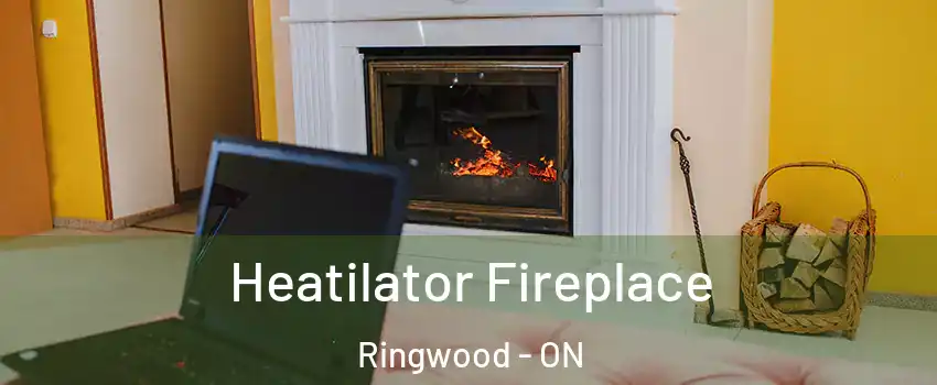  Heatilator Fireplace Ringwood - ON
