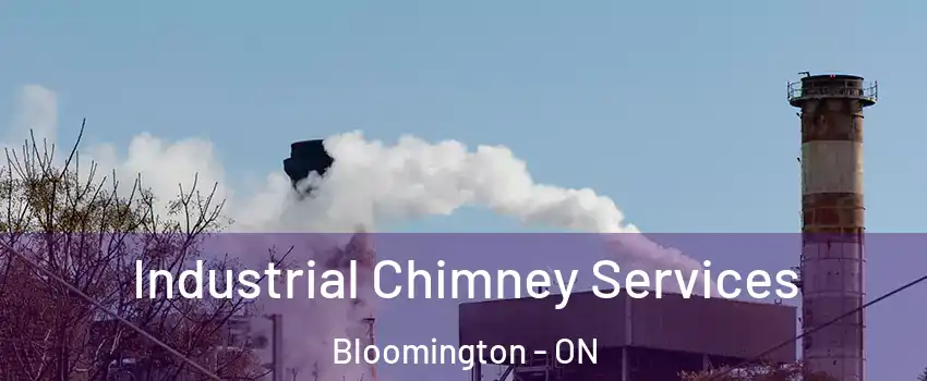  Industrial Chimney Services Bloomington - ON