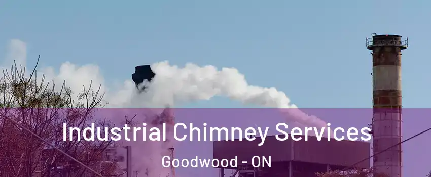  Industrial Chimney Services Goodwood - ON