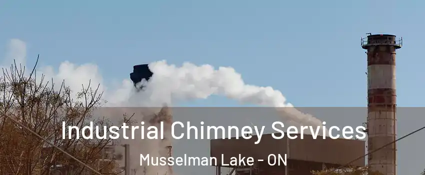  Industrial Chimney Services Musselman Lake - ON