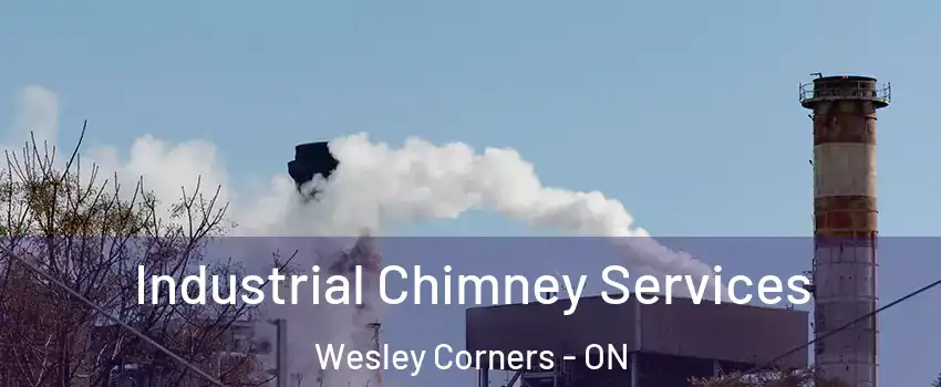  Industrial Chimney Services Wesley Corners - ON