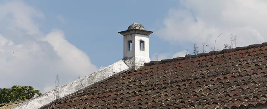 Wind-Resistant Chimney Caps Installation and Repair Services in Ringwood, Ontario