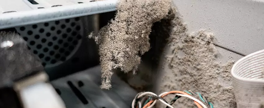 Clogged Dryer Vent Lint Cleaning in Ringwood, Ontario