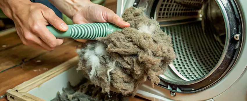 Best Dryer Lint Removal Company in Ringwood, Ontario