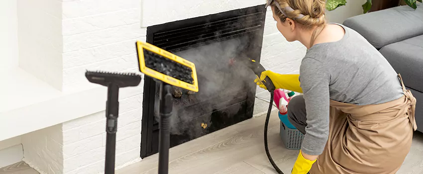 Fireplace Doors Cleaning in Ringwood, Ontario