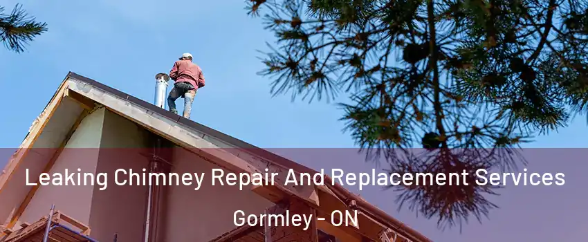  Leaking Chimney Repair And Replacement Services Gormley - ON