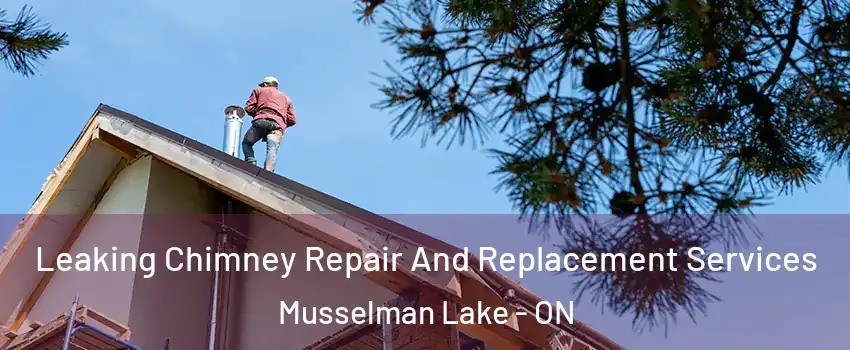  Leaking Chimney Repair And Replacement Services Musselman Lake - ON