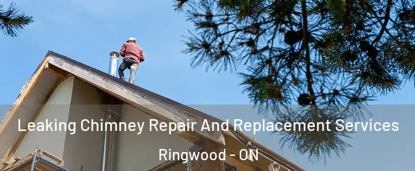  Leaking Chimney Repair And Replacement Services Ringwood - ON