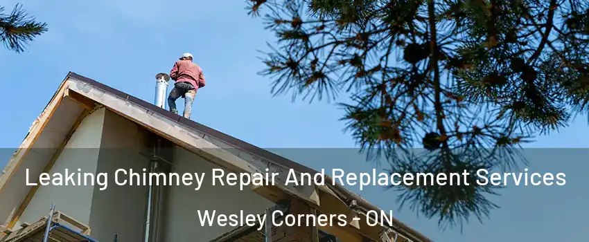  Leaking Chimney Repair And Replacement Services Wesley Corners - ON