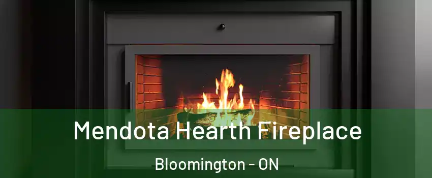 Mendota Hearth Fireplace Bloomington - ON