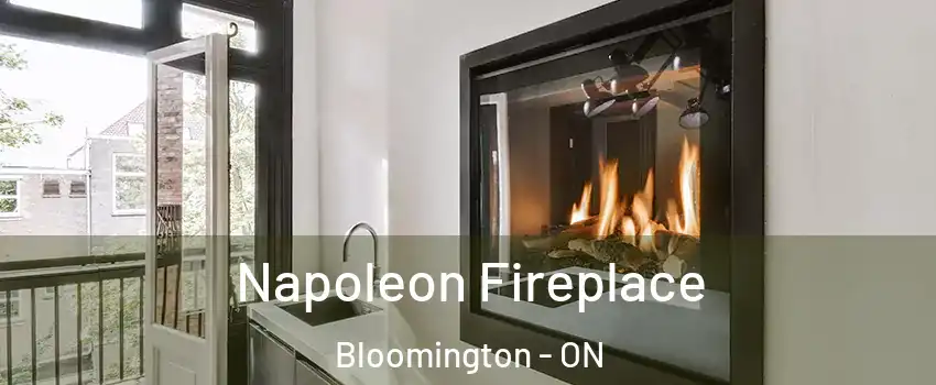  Napoleon Fireplace Bloomington - ON