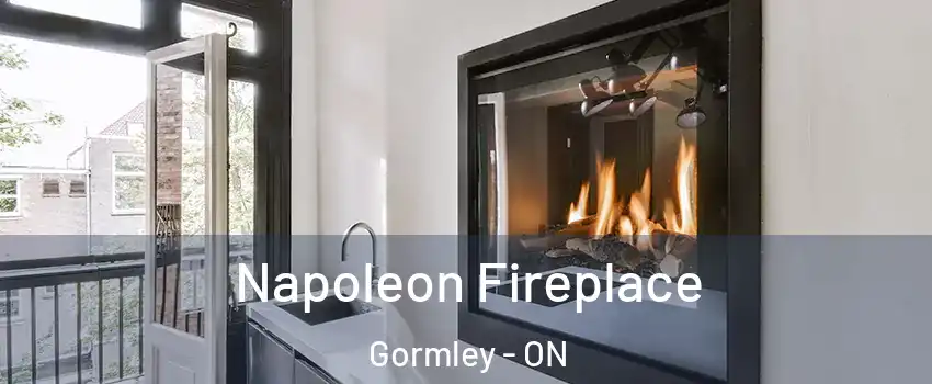  Napoleon Fireplace Gormley - ON