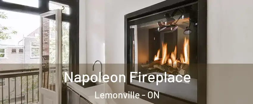  Napoleon Fireplace Lemonville - ON