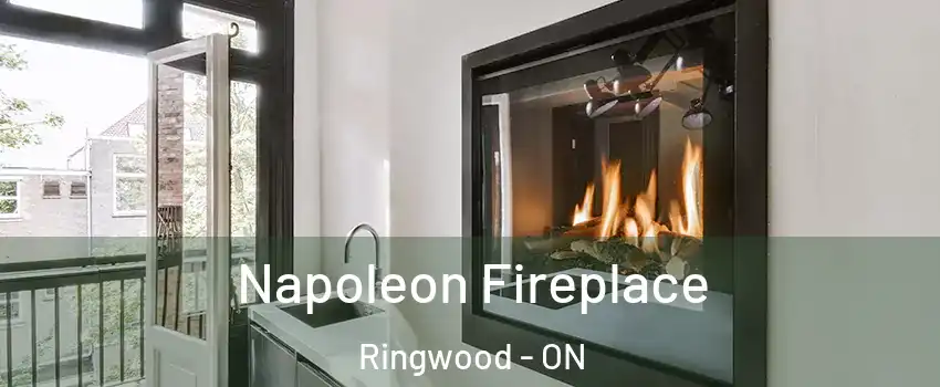  Napoleon Fireplace Ringwood - ON