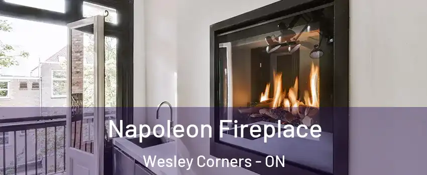  Napoleon Fireplace Wesley Corners - ON