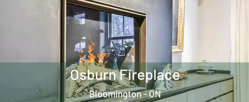  Osburn Fireplace Bloomington - ON
