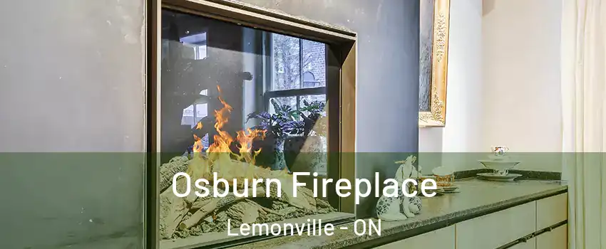  Osburn Fireplace Lemonville - ON