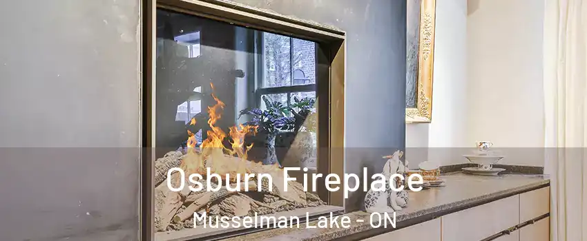  Osburn Fireplace Musselman Lake - ON