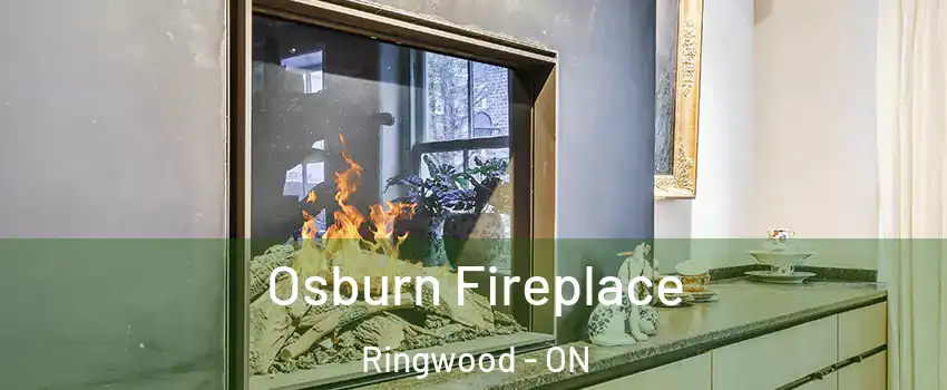  Osburn Fireplace Ringwood - ON