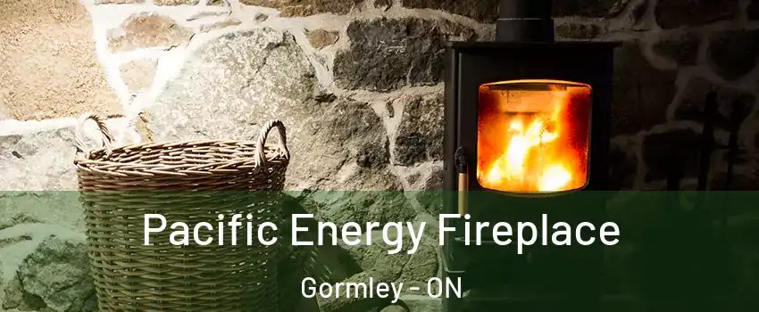  Pacific Energy Fireplace Gormley - ON