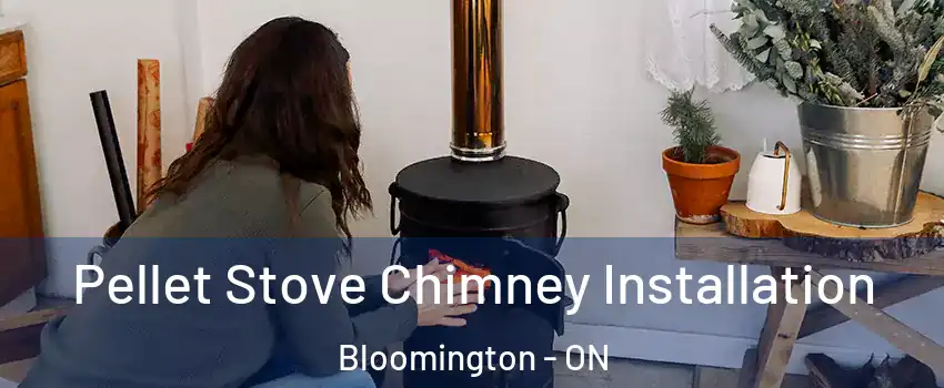  Pellet Stove Chimney Installation Bloomington - ON