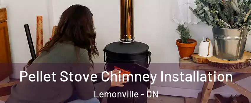  Pellet Stove Chimney Installation Lemonville - ON