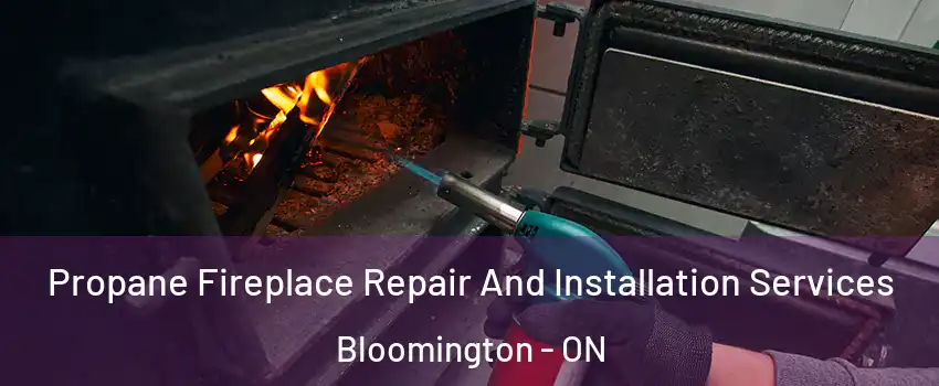  Propane Fireplace Repair And Installation Services Bloomington - ON