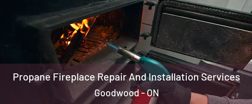 Propane Fireplace Repair And Installation Services Goodwood - ON